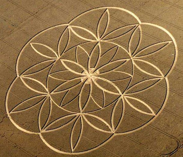 http://www.soulsofdistortion.nl/images/Flower of lifce crop circle.jpg